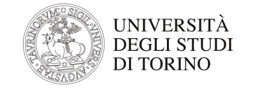 UNIVERSITA DEGLI STUDI DI TORINO